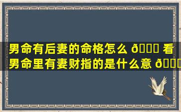 男命有后妻的命格怎么 🐅 看「男命里有妻财指的是什么意 🐘 思」
